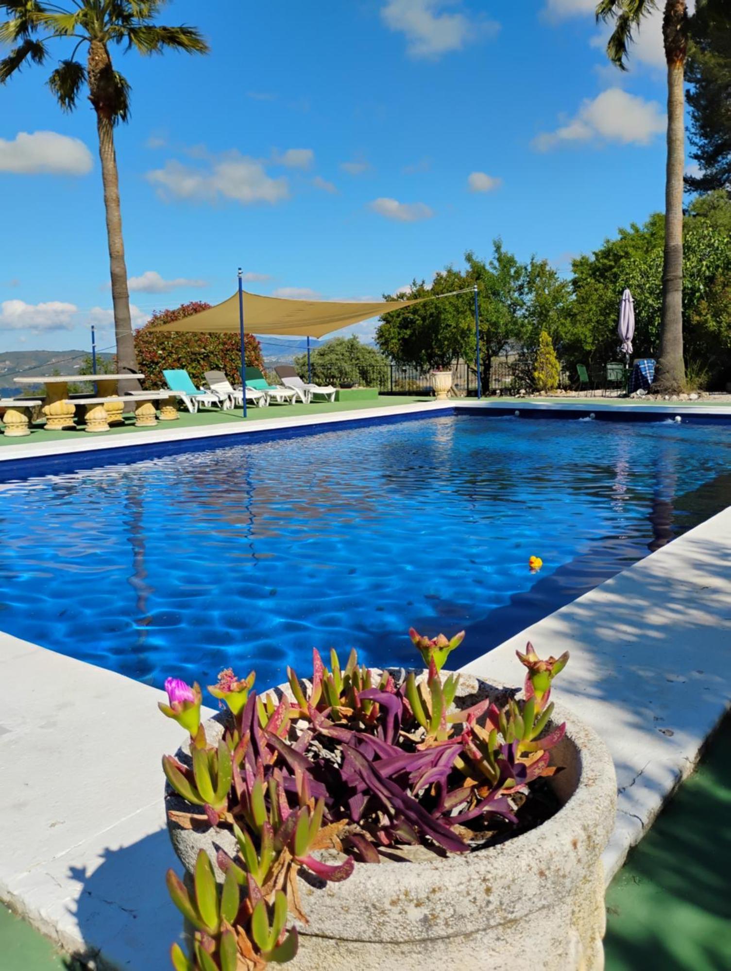 Villa La Casita, Zagra La Carrera de la Viña Exterior foto