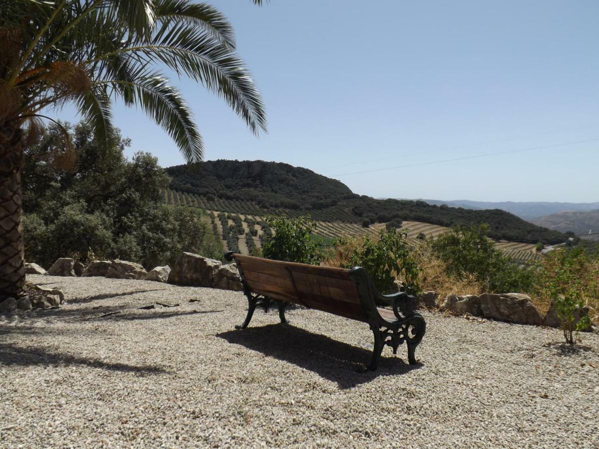 Villa La Casita, Zagra La Carrera de la Viña Exterior foto