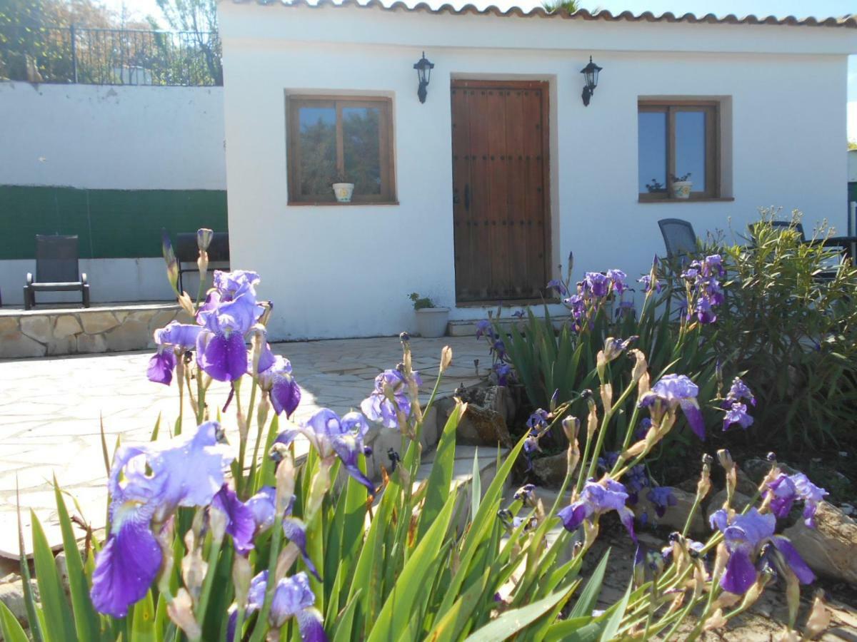 Villa La Casita, Zagra La Carrera de la Viña Exterior foto